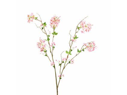 ChatGPT Image 24. 2. 2026, 18 15 12