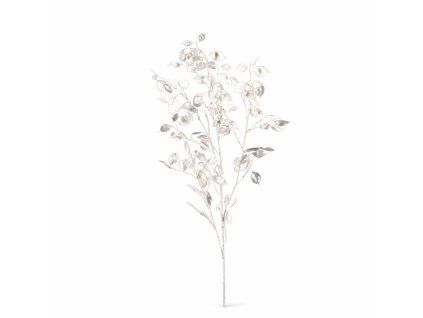 ChatGPT Image 23. 2. 2026, 21 38 43