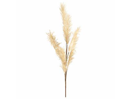 ChatGPT Image 25. 2. 2026, 14 30 46