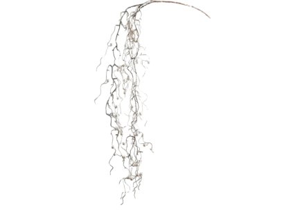 9892 9892 1 pixelcut export 1197