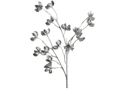 9895 9895 1 pixelcut export 1198