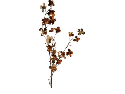 9904 9904 1 pixelcut export 1200