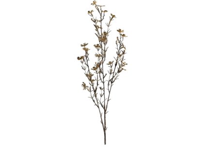 9907 9907 1 pixelcut export 1201