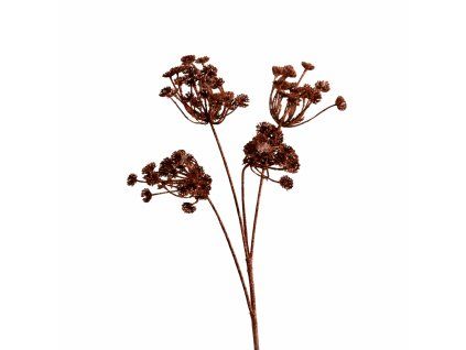 ChatGPT Image 26. 2. 2026, 09 13 24