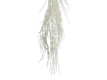 9952 9952 1 pixelcut export 1230