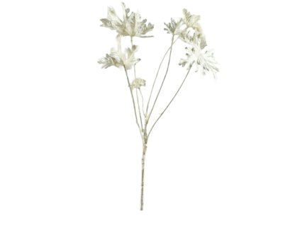 9955 9955 1 pixelcut export 1231