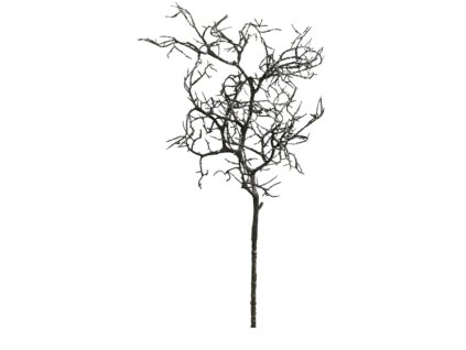 9958 9958 1 pixelcut export 1232