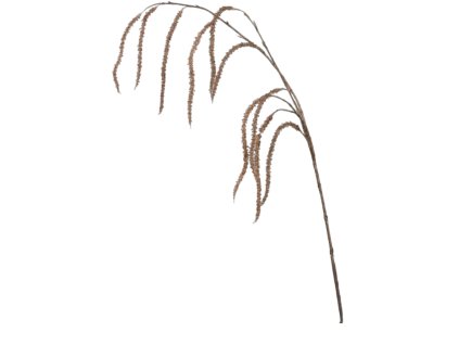 9964 9964 2 pixelcut export 1206