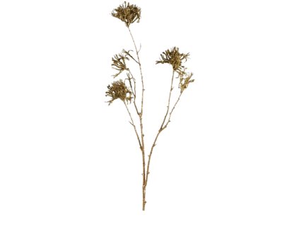 9970 9970 1 pixelcut export 1211