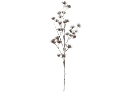 9979 9979 1 pixelcut export 1214