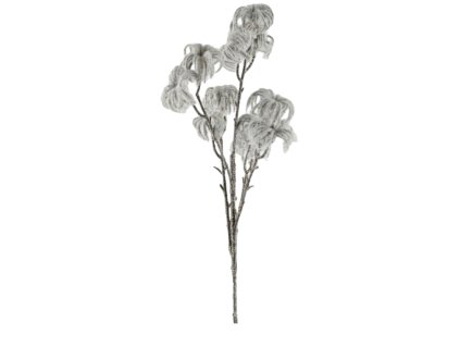 9982 9982 1 pixelcut export 1215