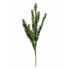 ChatGPT Image 27. 4. 2026, 12 02 35