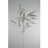 15571 15571 1 15571 749908 eucalyptus zeleny 105cm