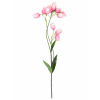 ChatGPT Image 29. 4. 2026, 10 23 04