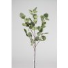 15793 15793 1 15793 781172 eucalyptus zeleny 90cm
