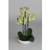 7216 7216 7216 60326 34 orchidea v crepniku zelena 36cm