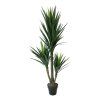 Yucca 160 cm