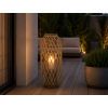 ChatGPT Image 29. 5. 2026, 11 47 25