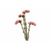 ChatGPT Image 21. 4. 2026, 13 22 17