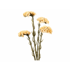 ChatGPT Image 21. 4. 2026, 13 23 27