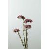 9280 9280 9280 43847 20 statica fialova 62cm