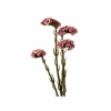 ChatGPT Image 21. 4. 2026, 13 24 23