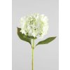 9805 9805 9805 hydrangea biela 65cm