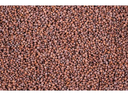 homegreens redkev cerna 01