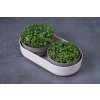 homegreens microgreens farma pro zacatecniky 01
