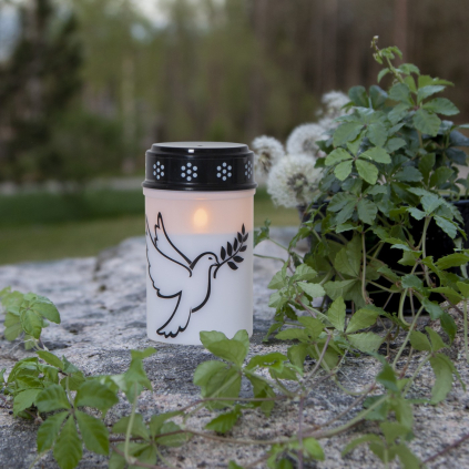 Hřbitovní LED svíčka s časovačem výška 12 cm Star Trading Dove - bílá