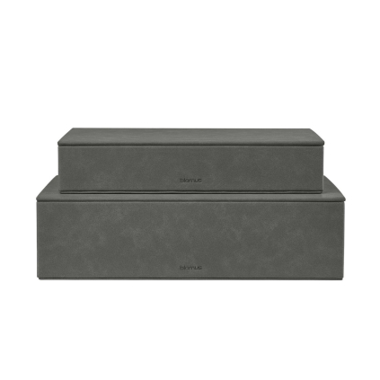 Sada 2 ks úložných boxů Blomus SAHLA - tmavě šedá