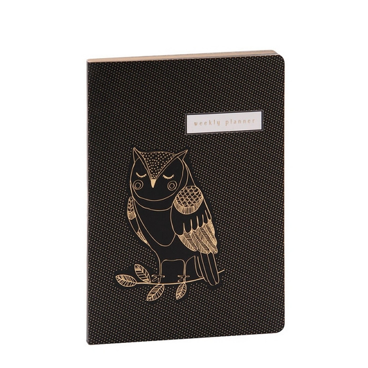 Levně Týdenní diář A5 Artebene Owl