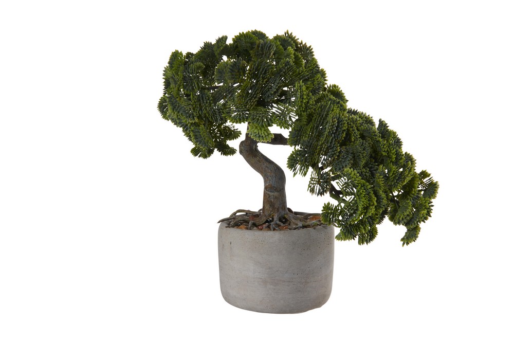 Bonsai cypřiš 24,5 cm ASA Selection