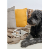 Hrnek s uchem COPPA CATS & DOGS ASA Selection - basset dogs #3