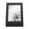 Fotorámeček 13x18 cm Umbra PODIUM - černý #2