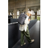 Batoh Reisenthel Allrounder Pure Backpack Graphite #12