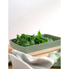 Zapékací mísa 36x26 cm GRANDE AL FORNO ASA Selection - zelená #3