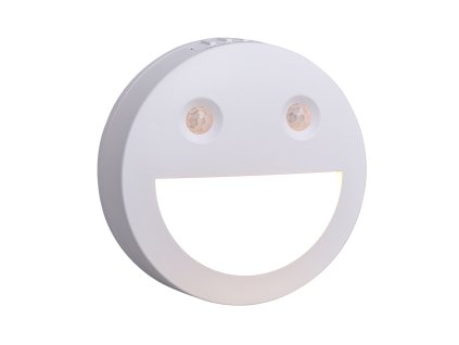 white night light (19)