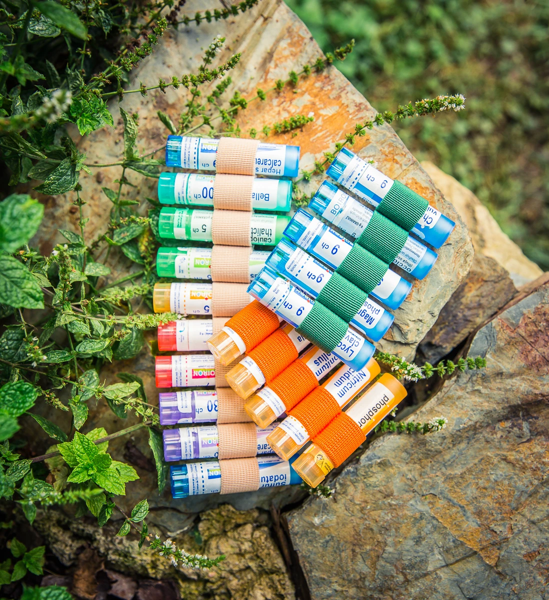 Začínáte s homeopatií? Sestavte si domácí lékárničku z 20 nejčastějších léků