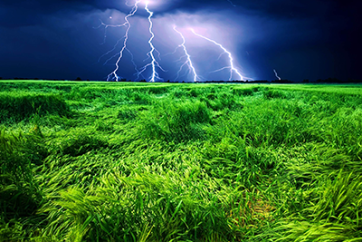 Pěna na hladině a přehřátá voda: Jak ochránit jezírko v létě?