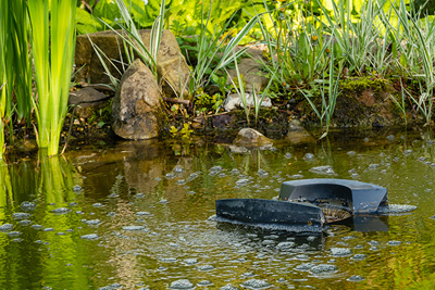 🏖️ 3 tipy jak zabezpečit zahradní jezírko před odjezdem na dovolenou