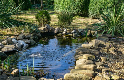 Tipy a rady pro odzimování jezírka + kontrolní seznam ✅