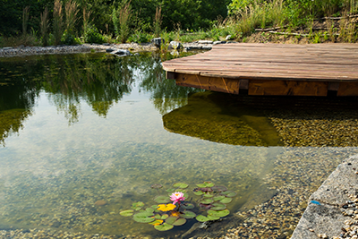 Jak mít čisté koupací jezírko po celé léto?