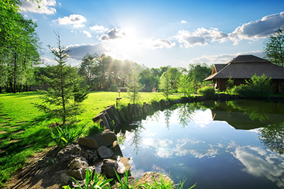 Proč je léto nejlepším obdobím pro řasy v jezírku a jak jejich výskyt omezit?