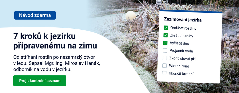 7 kroků k jezírku připravenému na zimu: kontrolní seznam