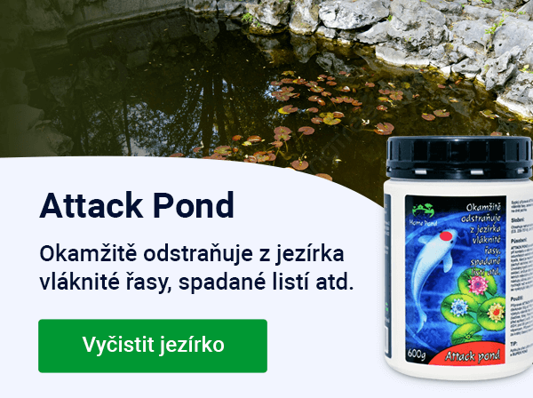 Slider — léto Attack Pond — MOBILE
