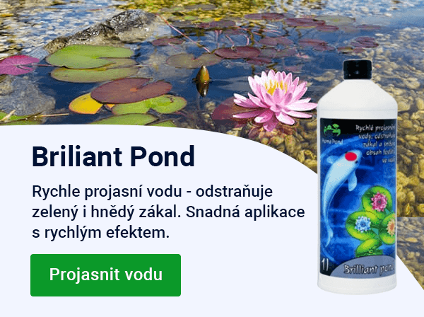 Slider — podzim Brilliant Pond — MOBILE
