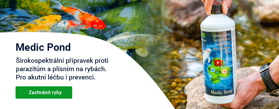 Slider — jaro — Medic Pond — DESKTOP