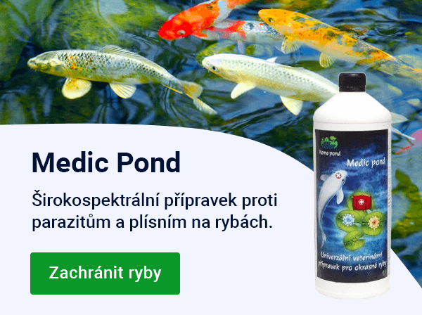 Slider — jaro —  Medic Pond — MOBILE