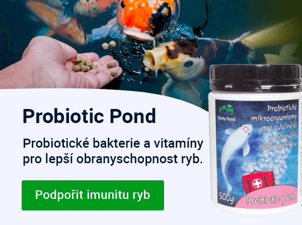 Slider — podzim Probiotic Pond — MOBILE